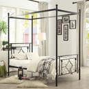 1758T Youth - Hosta Collection