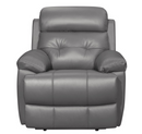 9529DGY-1 - Reclining Chair