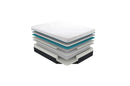 MT-MC 11'' - Latex Microcoil Hybrid Bedding Collection